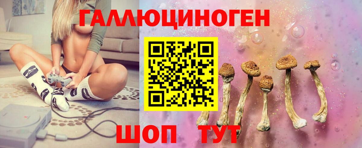 Псилоцибиновые грибы GOLDEN TEACHER  Вход с VPN  Краснодар 